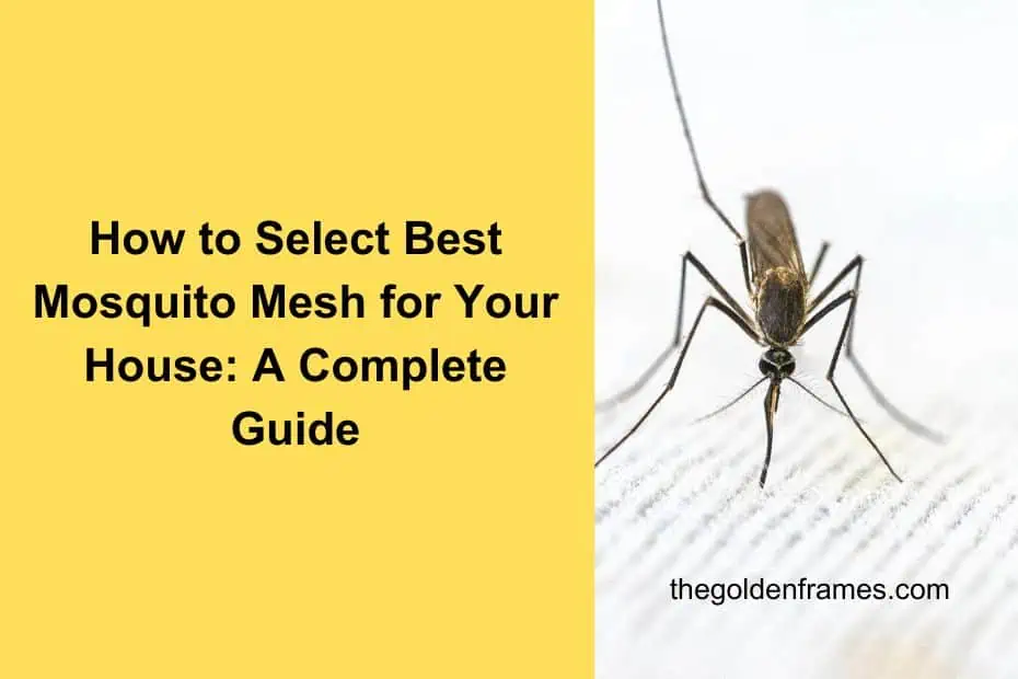 How to Select Best Mosquito Mesh for Your House: A Complete Guide