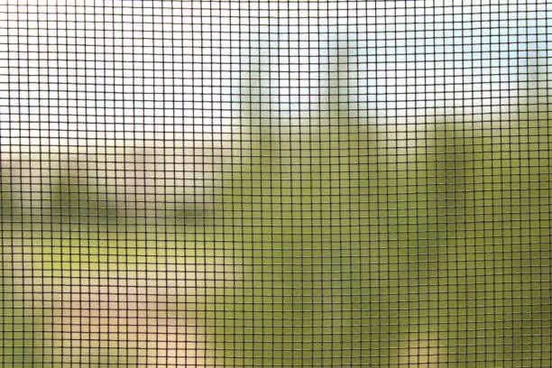 Ultimate Guide to Mosquito Mesh for Windows: Types, Benefits, and Installation
